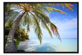 Gerahmter Kunstdruck Unter der Palme, Malediven