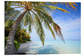 Foam board print Under the palm tree, Maldives