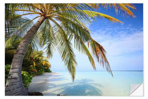 Sisustustarra Under the palm tree, Maldives