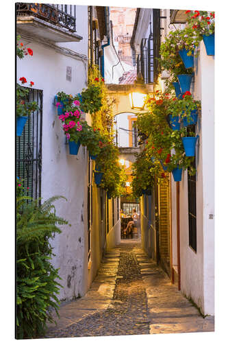 Cuadro de aluminio En las calles de Córdoba, España