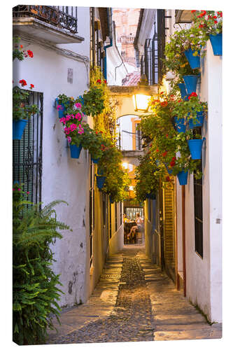 Tableau sur toile Dans les rues de Cordoue, Espagne