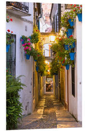 Foam board print In the streets of Cordoba, Spain