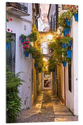 Tableau en plexi-alu Dans les rues de Cordoue, Espagne