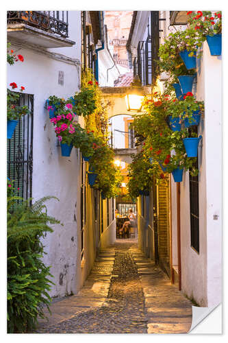 Wall sticker In the streets of Cordoba, Spain