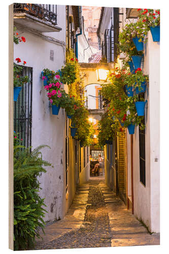 Wood print In the streets of Cordoba, Spain