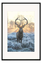 Gerahmter Kunstdruck Hirsch mit Herzgeweih