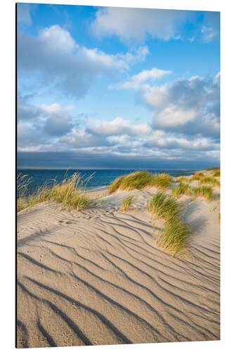 Aluminiumsbilde Dunes on the North Sea beach