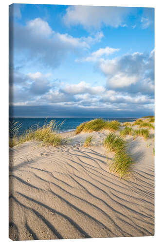 Obraz na płótnie Dunes on the North Sea beach