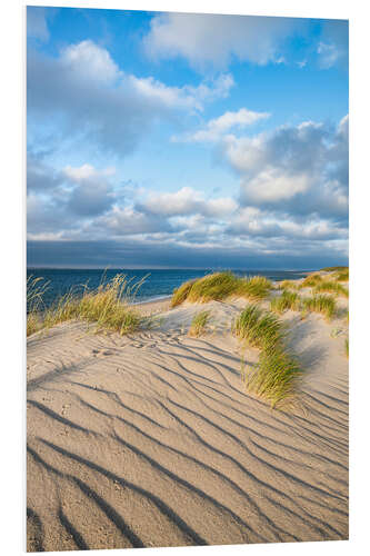 Bilde på skumplate Dunes on the North Sea beach