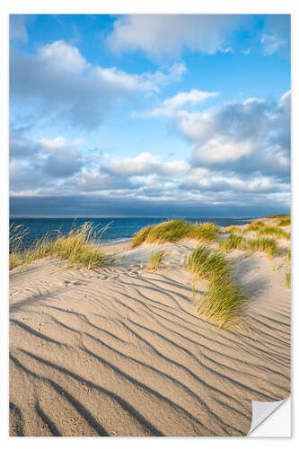 Naklejka na ścianę Dunes on the North Sea beach