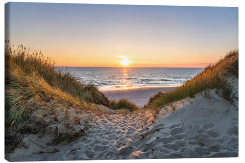 Canvas print Path through the dunes