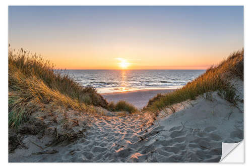 Selvklebende plakat Path through the dunes