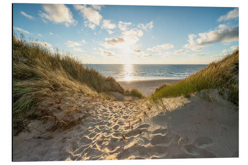 Aluminiumsbilde Dunes On the Beach I