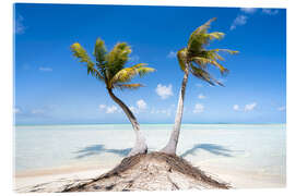 Acrylic print Palm trees on the beach