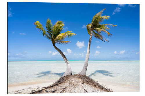 Aluminium print Palm trees on the beach