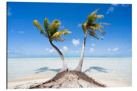 Aluminium print Palm trees on the beach