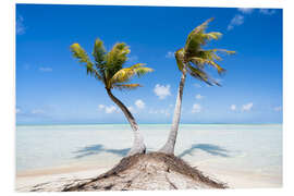 Foam board print Palm trees on the beach