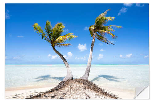 Wall sticker Palm trees on the beach