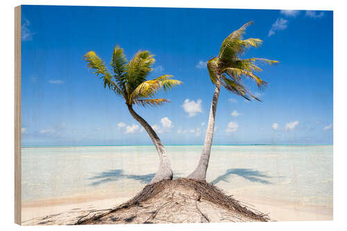 Puutaulu Palm trees on the beach