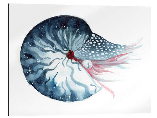 Gallery print Nautilus