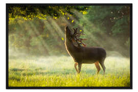 Gerahmter Kunstdruck Grüner Sommerregen