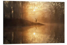 Magnettafel Verstecktes Reich