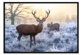 Gerahmter Kunstdruck Der Geist des Waldes