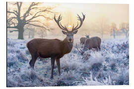Magnettafel Der Geist des Waldes