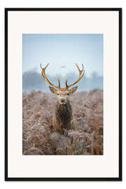 Gerahmter Kunstdruck Die Galionsfigur