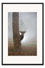 Gerahmter Kunstdruck Versteckspiel im Wald