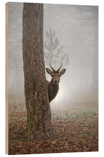 Holzbild Versteckspiel im Wald