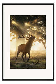 Gerahmter Kunstdruck Der Duft des Waldes