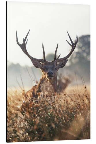 Aluminium print Imposing deer in an enchanted landscape