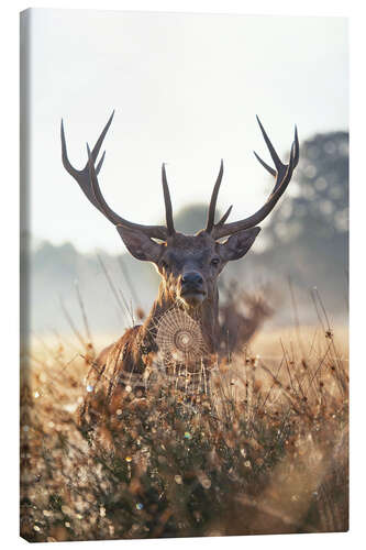 Leinwandbild Stattlicher Hirsch in verzauberter Landschaft