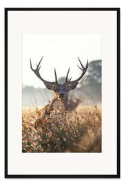 Gerahmter Kunstdruck Stattlicher Hirsch in verzauberter Landschaft