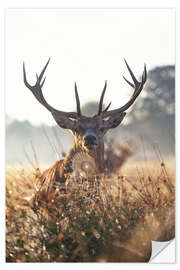 Naklejka na ścianę Imposing deer in an enchanted landscape