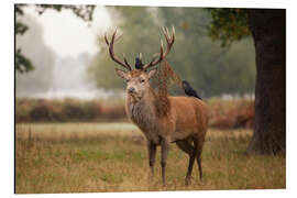 Magnettafel Freunde des Waldes