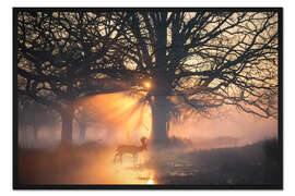 Gerahmter Kunstdruck In Licht getaucht