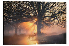 Magnettafel In Licht getaucht