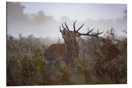 Magnettafel Ruf der Wildnis