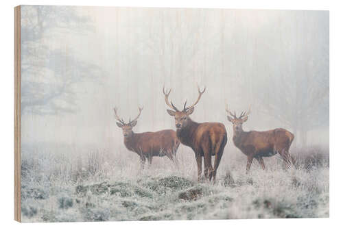 Holzbild Drei im Nebel