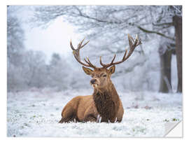 Naklejka na ścianę Deer portrait in heavy frost