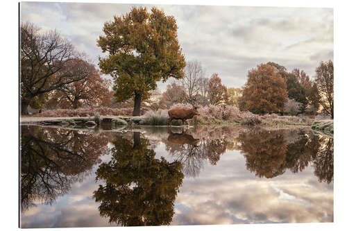 Gallery print Icy bath