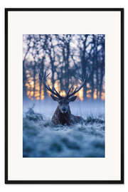 Gerahmter Kunstdruck Kühle Morgendämmerung