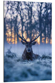 Magnettafel Kühle Morgendämmerung