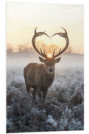 Foam board print I heart you deer