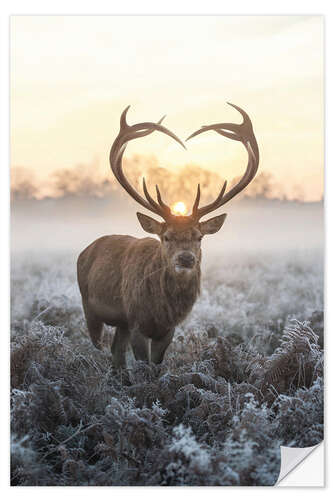 Naklejka na ścianę I heart you deer