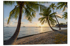Magnettafel Urlaub am Palmenstrand in der Südsee