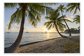 Poster Vacances sur la plage de palmiers dans le Pacifique Sud