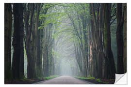 Selvklæbende plakat Road in the woods